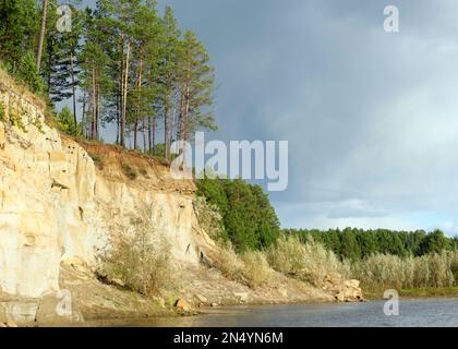 Kiefernwald auf einer Klippe in der Nähe des Flusses Bank mit der Erosion von Lehmboden und Schichten von Land unter den Wurzeln der Bäume in der wilden Tundra von Yakutia at Stockfoto