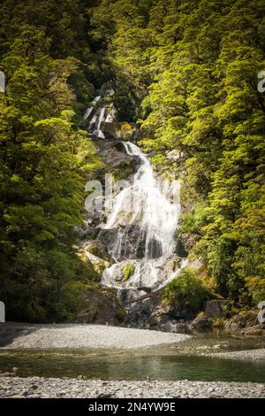 Fantail Falls, ein Wasserfall, der durch den dichten Regenwald in der Nähe des Highway 6 auf der Südinsel Neuseelands stürzt Stockfoto