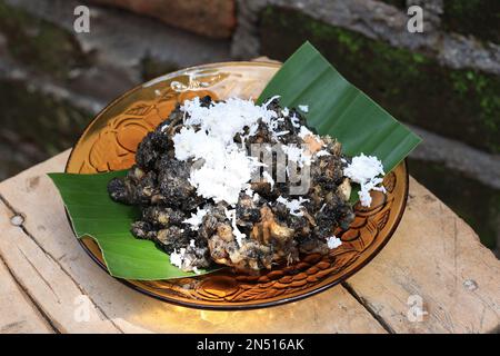 Gathot oder Gatot, traditionelles indonesisches Essen aus sonnengetrockneter fermentierter Kassava. Belag mit geriebener Kokosnuss. Gedünstet und für Reis subtitut gegessen Stockfoto