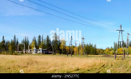 Stromleitungen sind an Polen, die Strömung von der Station, in der Nähe des nördlichen wilden Waldes in Yakutia. Stockfoto