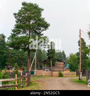 Die Dorfstraße führt zu einem privaten Holzhaus aus Kiefernholz unter Nadelbäumen in der Nähe des Taigawaldes im wilden Yakutia. Stockfoto