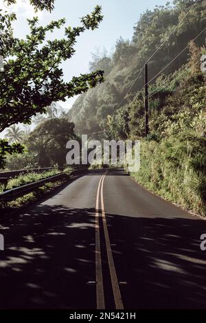 Route mit zwei gelben Linien, umgeben von Natur. Hawaii Stockfoto