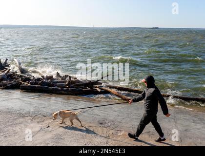 Ein junger Mann im Trainingsanzug geht mit einer Hunderasse Staffordshire Terrier auf dem tosenden Meer spazieren. Stockfoto