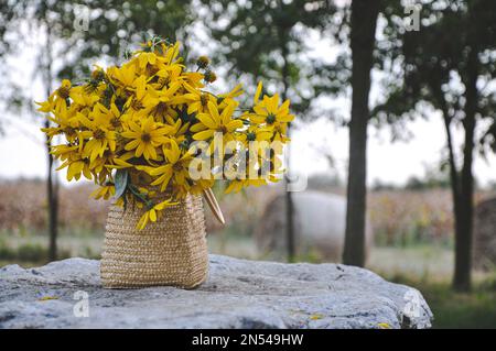 Eine Nahaufnahme gelber Artischocken in einer Vase auf einem Tisch, der mit einer Tischdecke in einem Garten bedeckt ist Stockfoto