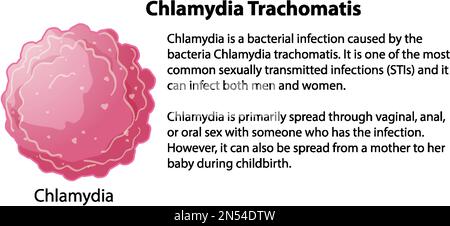 Chlamydia trachomatis mit erläuternder Darstellung Stock Vektor