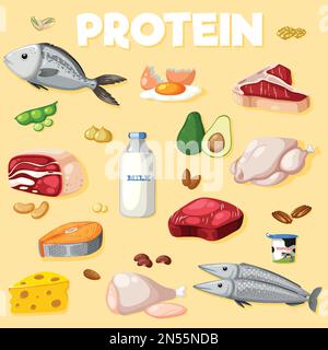 Variety of protein foods illustration Stock Vektor