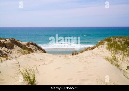 Zugang zum Sandstrand mit Dünen von Le Porge in der Nähe von Lacanau in Frankreich Stockfoto