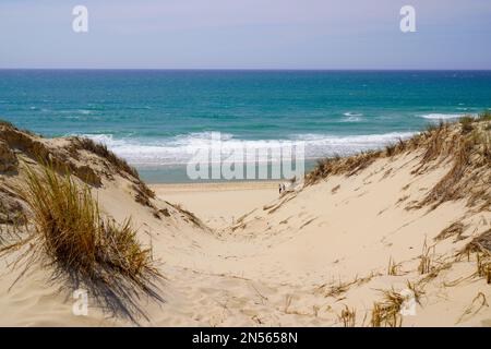 Sanddünen führen zum Strand im Dorf Le porge in der Nähe von Lacanau France Stockfoto