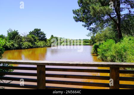 Brücke mit Blick auf die Küste des Flusses La Teste-de-Buch in gironde Stockfoto