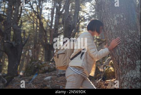 asiatische Frauen lieben es, in der Natur zu sein, wunderschöne Wälder in den Bergen. Frische Luft und Aktivitäten im Freien. Friluftsliv-Konzept bedeutet s Stockfoto