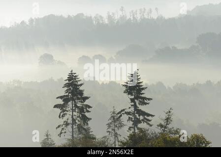 Blick über Täler und bewaldete Höhen in dichtem Nebel am frühen Morgen, Naturpark Arnsberg-Wald, Nordrhein-Westfalen, Deutschland Stockfoto