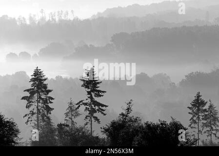 Blick über Täler und bewaldete Höhen in dichtem Nebel am frühen Morgen, schwarz-weiß, Naturpark Arnsberg-Wald, Nordrhein-Westfalen, Deutschland Stockfoto