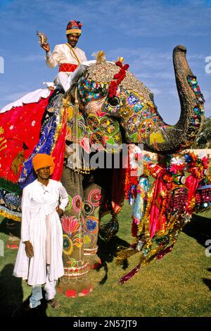 Festliche Paraden mit Kamelen und Elefanten, Holi Festival, Jaipur, Rajasthan, Indien Stockfoto