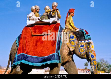 Festliche Paraden mit Kamelen und Elefanten, Holi Festival, Jaipur, Rajasthan, Indien Stockfoto