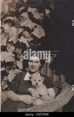 Vintage-Foto von Lady und ihrem Haustier/Hündchen in der Hand/kleiner weißer Hund/umarmende Hunde/Hundekugeln/Hund unter den Armen halten. . Junge Dame posiert für die Kamera mit ihrem süßen weißen Spielzeughund. Sie sitzen in einem sehr bequemen Sessel in einem Weingarten im 1930er. Possibli der Welpe ist ein Spielzeugpudel oder Coton de Tulear, Bolognese oder sogar Malteser Stockfoto