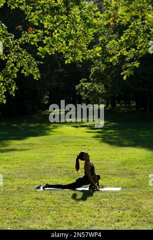 Schlanke Frau mit Pferdeschwanz-Yoga-Fahrer posieren im sonnigen, grünen Park auf Gras Stockfoto