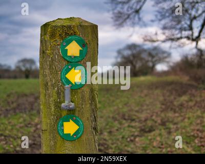 Drei-Wege-Markierungen zeigen öffentliche Fußwege vor, links und rechts, befestigt an einem Holzpfahl in einem Feld in Flintshire, Nordwales, Großbritannien. Ein Ofen Stockfoto