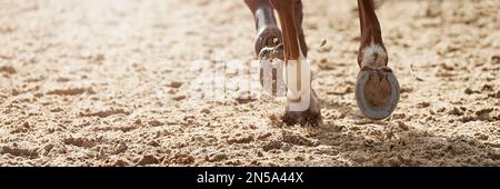 Nahaufnahme der Pferdehufer während des Showspringens, Pferderennen im Sand Stockfoto