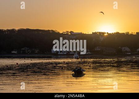 Courtmacsherry, West Cork, Irland. 9. Februar 2023. Die Sonne geht über dem Küstendorf Courtmacsherry als Auftakt zu einem Tag voller Sonne auf. Kredit: AG News/Alamy Live News Stockfoto