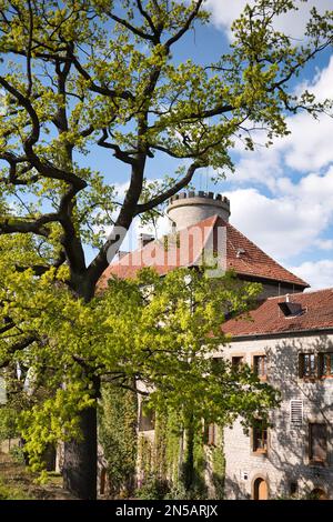 Das sogenannte Sparrenburg in der deutschen Stadt Bielefeld mit blauem Himmel und grüner Natur Stockfoto