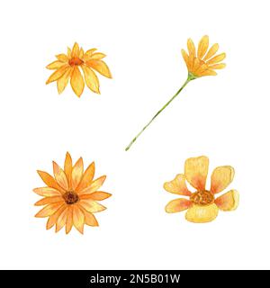 Sonnenblumen. Aquarell mit Sonnenblumenblumen. Die Sonnenblumenzeichnung wird von Hand gezeichnet. Stockfoto
