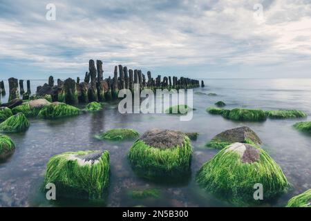 Alte hölzerne Brunnen und Steine mit grünen Algen in der Ostsee. Seascape bei Sonnenaufgang Stockfoto