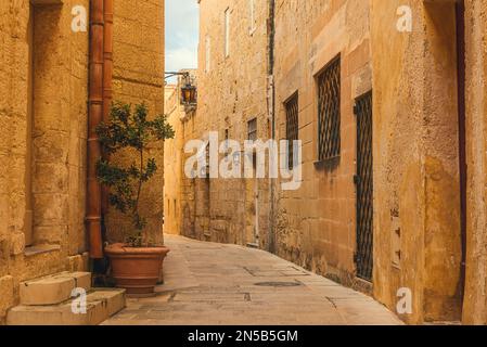 Alte mittelalterliche, enge, leere Straße mit Straßenbeleuchtung und Blumentöpfen in Mdina. Reiseziel in Europa Stockfoto