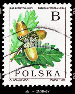 MOSKAU, RUSSLAND - 4. FEBRUAR 2023: In Polen gedruckte Briefmarken zeigen Acorns auf einem Zweig einer Eiche (Quercus petraea), Laubbäume, Stockfoto
