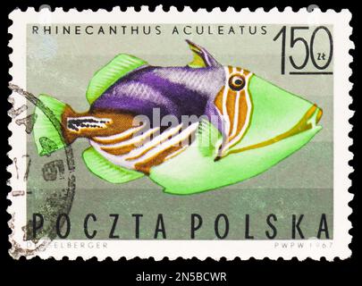 MOSKAU, RUSSLAND - 4. FEBRUAR 2023: Poststempel in Polen zeigen Picasso Triggerfish (Rhinecanthus aculeatus), Serie Tropical Fish, circa 1967 Stockfoto