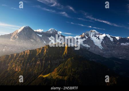 Blick von der Schynige Platte nach Eiger, Moench und Jungfrau am Morgen, Schweiz, Berner Oberland Stockfoto