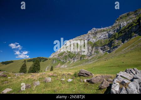 Blick auf die Saentis von Schwaegalp am Nachmittag, Ostschweiz, Schweiz Stockfoto