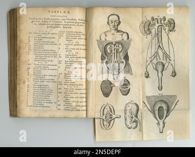 Antikes medizinisches Journal. Ein altes Anatomiebuch mit seinen Seiten. Stockfoto