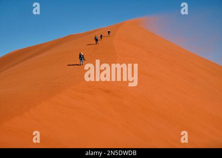 Touristen erklimmen eine große, windgepeitschte Sanddüne, während sich der Abend in Sossusvlei, Namib-Naukluft NP, Namibia nähert. Stockfoto