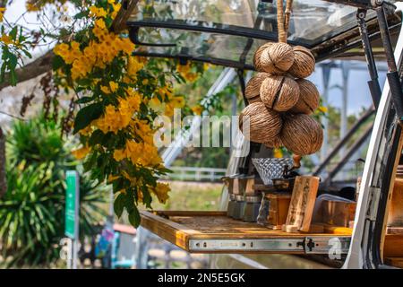 Moka-Kanne, Kaffeekanne auf dem Tisch, Natur-Hintergrund Stockfoto