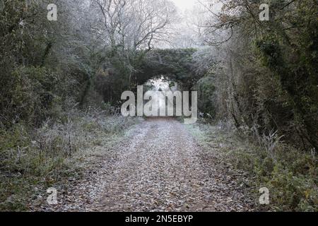 Ehemalige Bahnlinie und Brücke in Old Burghclere der Didcot, Newbury und Southampton Railway an einem nebeligen Wintermorgen Stockfoto