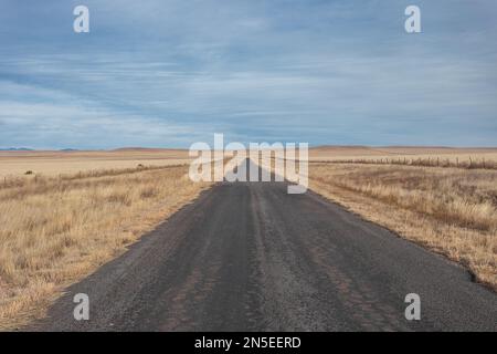 Leere gepflasterte Straße, die durch offene gelbe Weiden mit klarem Himmel im ländlichen New Mexico führt Stockfoto