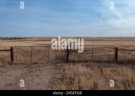 Alte Rinderzäune vor offenen Weiden mit klarem Himmel im ländlichen New Mexico Stockfoto