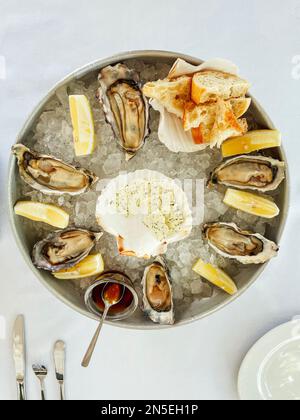 Leckere frische Austern mit Zitrone auf Eis, Käse mit Gewürzen und leckeres Brot. Serviert mit Messern, Gabel, Löffel und Teller. Weißer Rücken Stockfoto