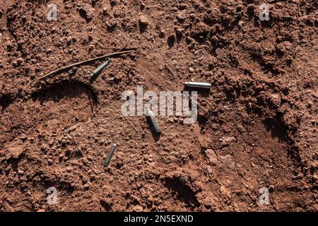 Patronenhülsen auf rotem Boden im ländlichen New Mexico Stockfoto