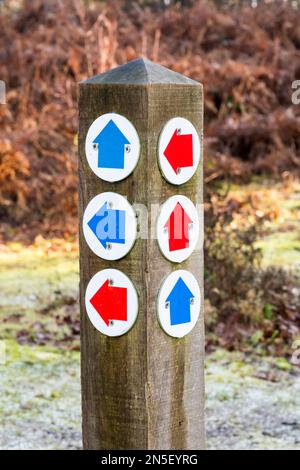 Wegmarkierungen oder Wegmarkierungspfeile auf einem Pfosten in Wolferton in Norfolk. Stockfoto
