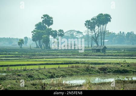 Ländliche Landschaft in der Nähe von Bagan in Myanmar Stockfoto