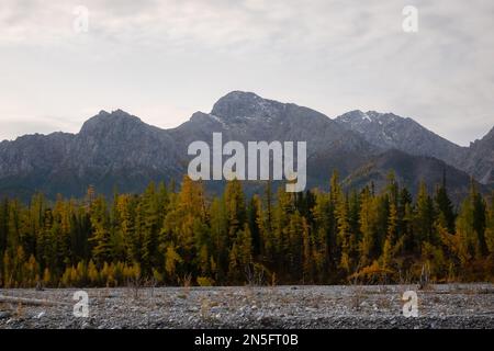 Ausgetrocknetes Flussbett in einer ländlichen Landschaft mit schneebedeckten Bergen im Hintergrund. Majestätische Landschaft mit Felsenstraße und Hügeln. Stockfoto