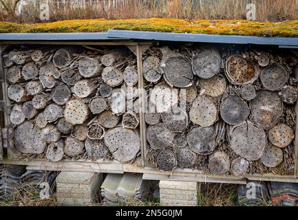 Großes Insektenhotel aus Holz mit grünem Wohndach Stockfoto