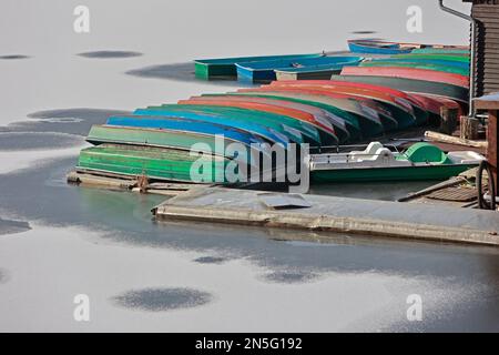 Wendefurth, Deutschland. 09. Februar 2023. Ruderboote liegen auf dem gefrorenen Reservoir des Wendefurth-Staudamms. Der Frost hat den Behälter eingefroren. In den nächsten Tagen wird es wieder etwas milder sein. Kredit: Matthias Bein/dpa/Alamy Live News Stockfoto