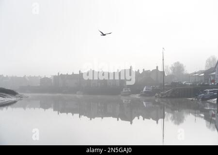 Früher Morgennebel über dem Fluss Colne in Rowhedge, Essex Stockfoto