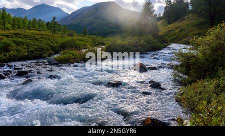 Ein schneller alpiner Fluss mit Rillen und Steinen in einem Bergtal inmitten des Waldes in Altai in Sibirien bei Sonnenuntergang am Abend. Stockfoto