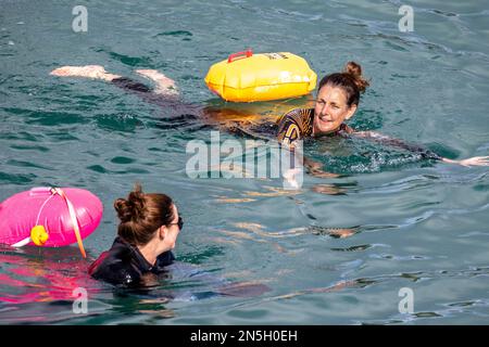 Wilde Schwimmer schwimmen im Herbst durch die Bucht von Coveack. Sie markieren ihre Position im Wasser mit einem gut sichtbaren Schwimmer Stockfoto