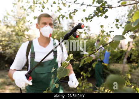 Arbeiter, die im Freien Pestizide auf Bäume sprühen. Schädlingsbekämpfung Stockfoto