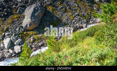 Der Alpenfluss Karakabak fließt schnell unter den Felsen mit Sonnenstrahlen unter der Küste mit grünem Gras im Altai-Gebirge. Stockfoto