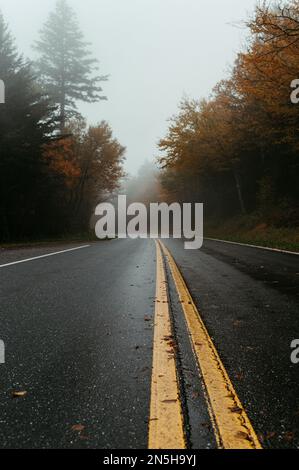 Fall Road im Great Smoky Mountain National Park Stockfoto